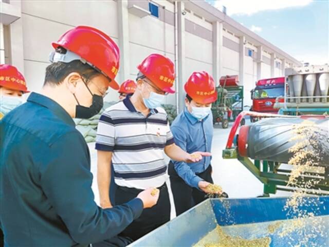 福建省泉州市纪检监察干部到市区中心粮库实地查访粮食储存和购销情况。杨一鸣摄