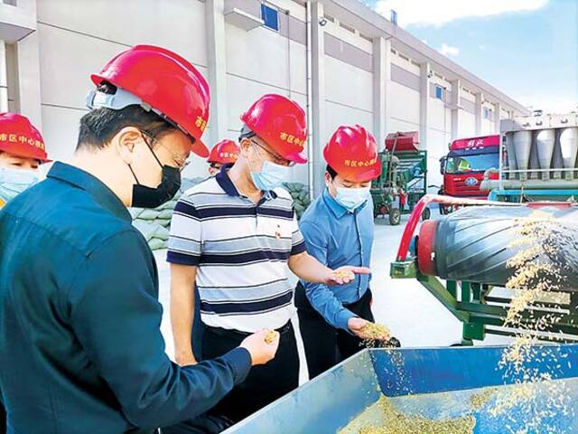 福建省泉州市纪检监察干部到市区中心粮库实地查访粮食储存和购销情况。杨一鸣摄