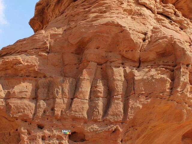 沙特阿拉伯北部发现的真人大小骆驼雕塑可以追溯到7000-8000年前