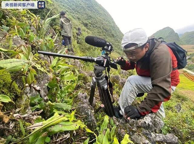 寻找极危物种！一起“探秘”云南天坑