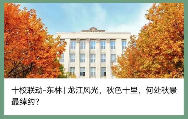 官媒招新  来做官方“代言人