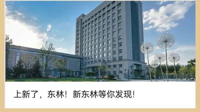 官媒招新  来做官方“代言人