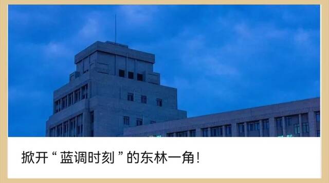 官媒招新  来做官方“代言人