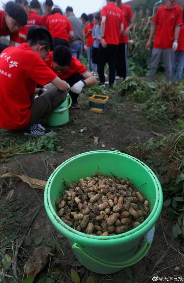 媒体声音  《天津日报》：中秋节 天理聋生分享收获喜悦