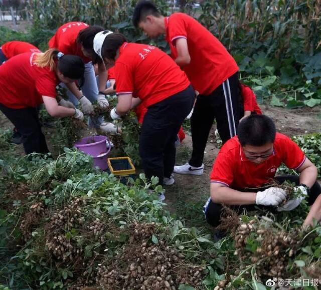 媒体声音  《天津日报》：中秋节 天理聋生分享收获喜悦