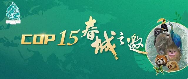 围观！云南天坑生物探秘最新动向→