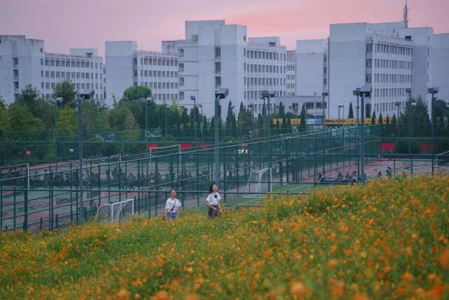 浙师的花海藏不住啦！花海、圆月和你，绝配！