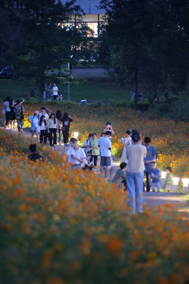 浙师的花海藏不住啦！花海、圆月和你，绝配！