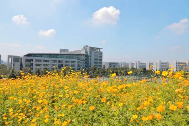 浙师的花海藏不住啦！花海、圆月和你，绝配！