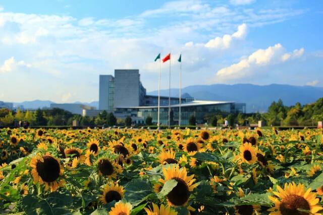 浙师的花海藏不住啦！花海、圆月和你，绝配！