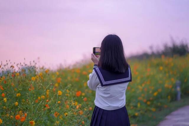 浙师的花海藏不住啦！花海、圆月和你，绝配！