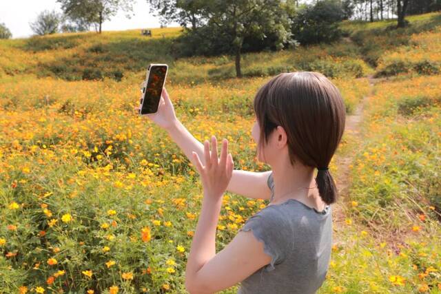 浙师的花海藏不住啦！花海、圆月和你，绝配！