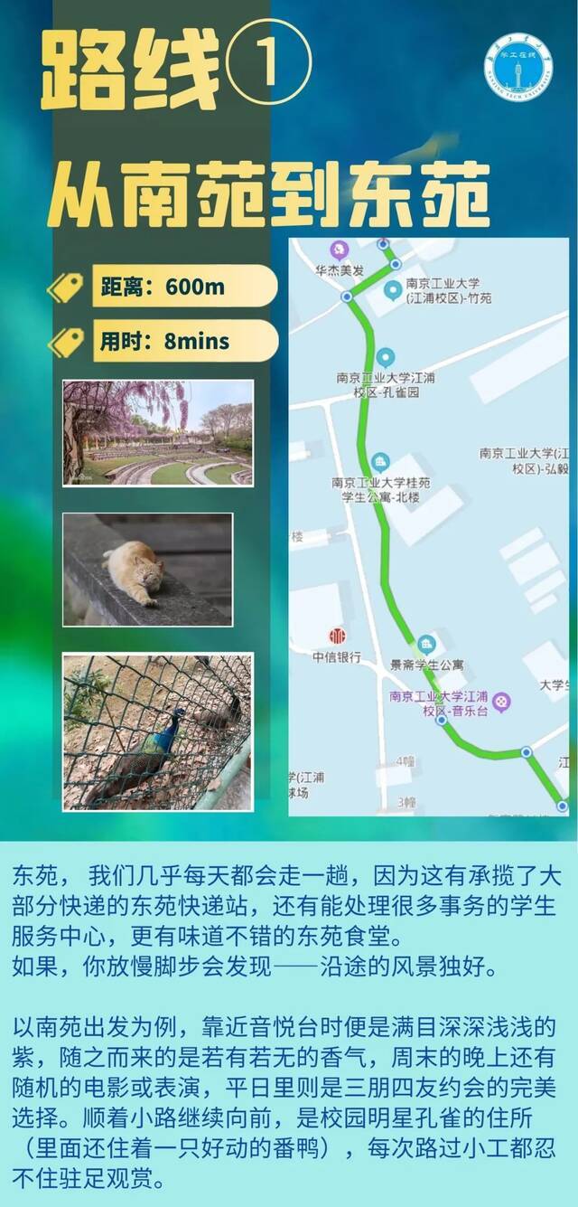 校园宝藏路线等你来发掘！