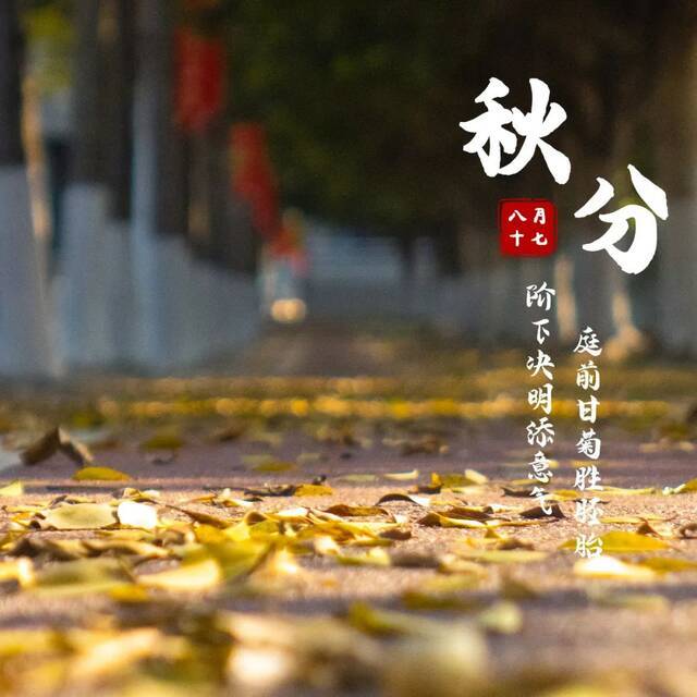 图|二十四节气之秋分