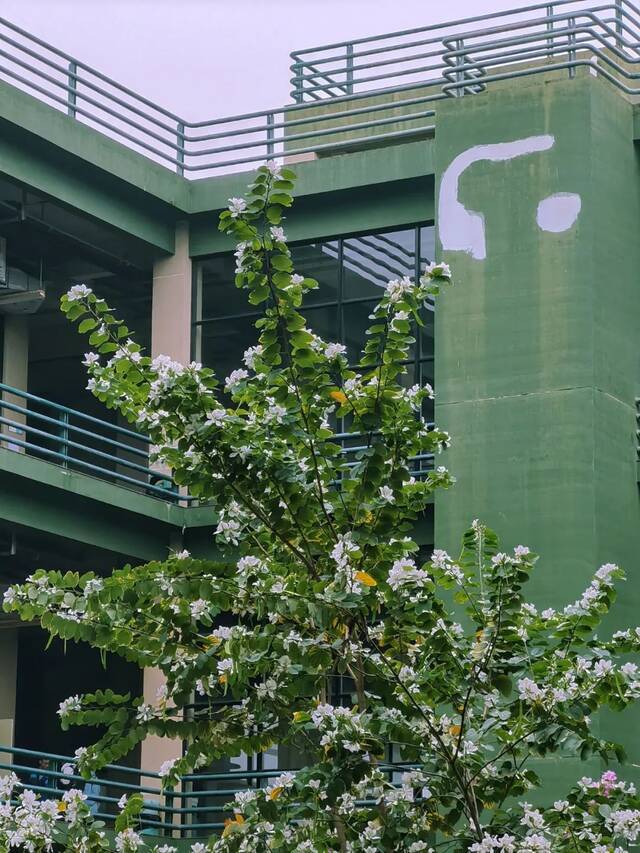 今日秋分，宜赏广工