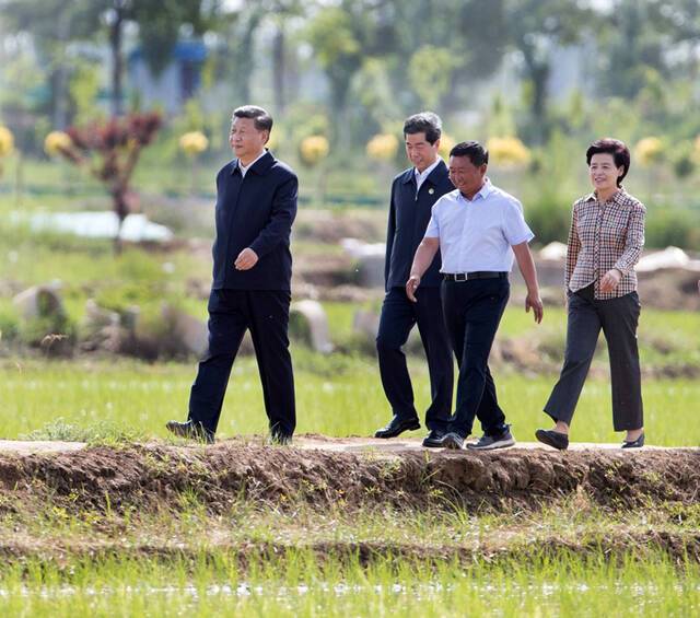 人民领袖丨田埂上的习近平