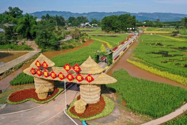 巴渝大地起“丰”景！