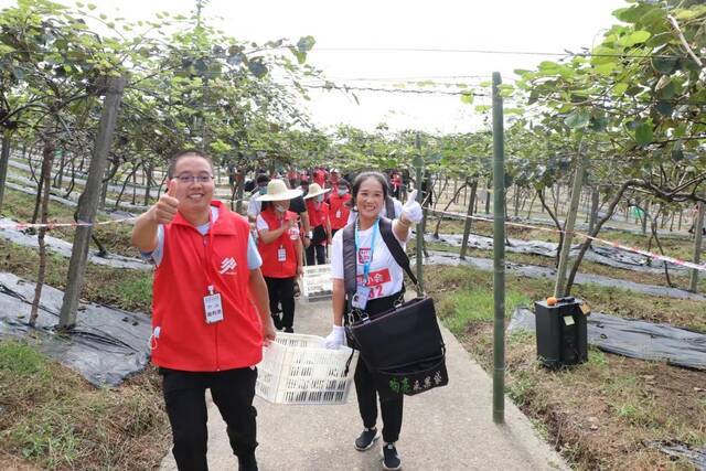 来自重庆市各区县的参赛人员在江津区石笋山参与“猕桃采收喜洋洋”竞赛，收获丰收果实的他们脸上洋溢着快乐的笑容，对此次活动竖起了大拇指。胥世鹏摄
