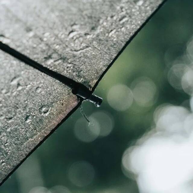 师大的雨  纷纷雨下，似是恍惚思园意