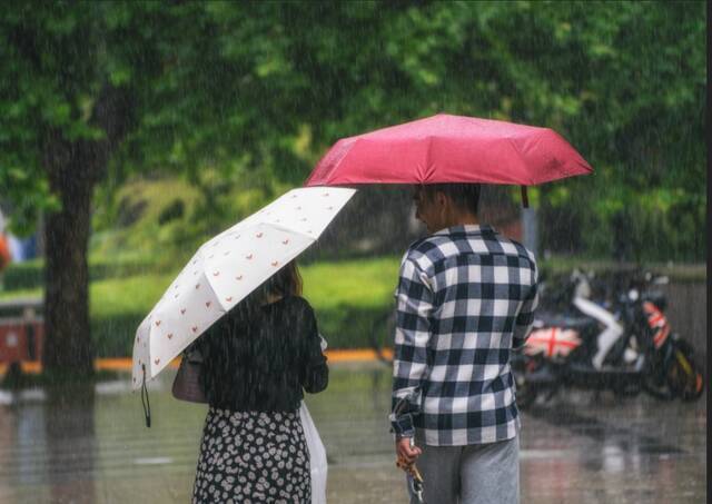 师大的雨  纷纷雨下，似是恍惚思园意