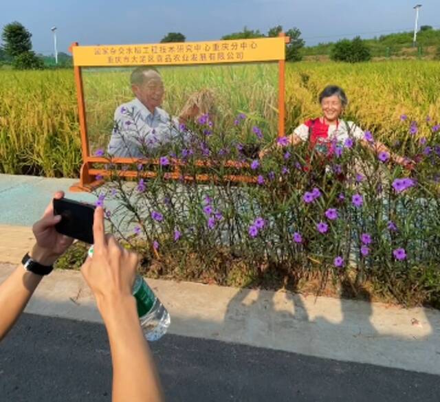 禾下乘凉不再是梦！丰收现场成大型追星现场