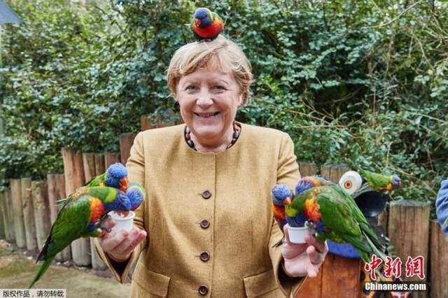 德国总理默克尔23日参观鸟类公园，与鹦鹉们合影。