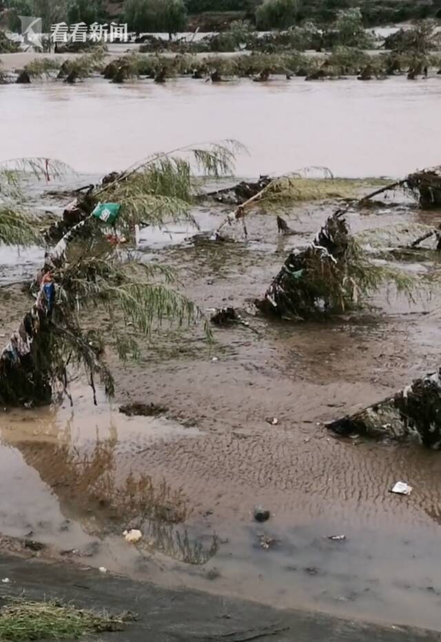 视频｜河南南召强降雨持续25小时 已致1死1伤2失踪