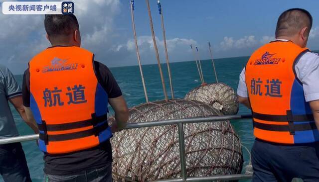 海口开展琼州海峡客滚船全面安全检查