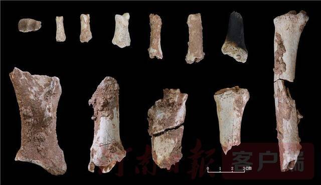 河南鲁山仙人洞遗址发现3.2万年前现代人头骨
