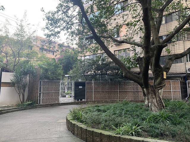 芳草地小区里的公共绿地都变成了院子。本文图片均为澎湃新闻记者胥辉图