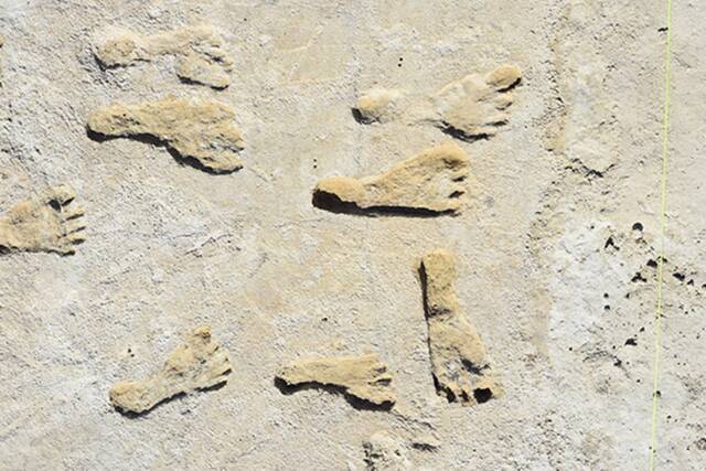 美国新墨西哥州白沙国家公园发现美洲最古老的人类脚印化石追溯到2.3万年前冰河时代