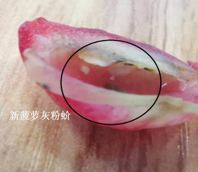 朱凤莲的名字里，有台湾水果输陆的“密码”？本人回应