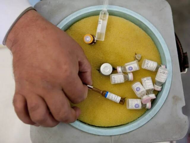阿富汗一个卫生中心，医务人员整理脊髓灰质炎疫苗。