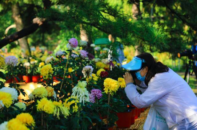 北京植物园