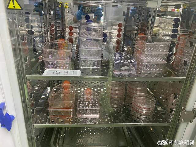 高中学历父亲回应为救儿子自制药：将投入基因编辑工具研究