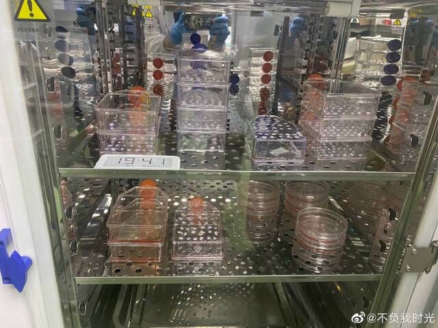 ▲徐伟为儿子制药的器具。图/徐伟微博