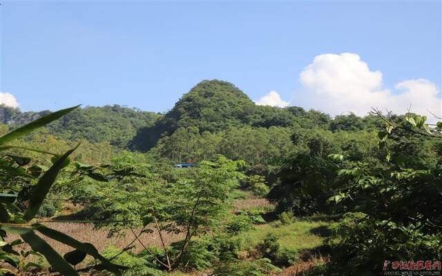 眺望远山，葱葱郁郁的山林间，五星红旗依旧光彩夺目。