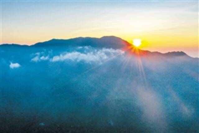 探秘琼中黎母山 感受热带雨林之美