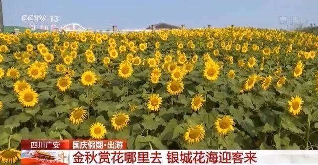 五湖四海迎客来 国庆节多个景区迎来客流高峰