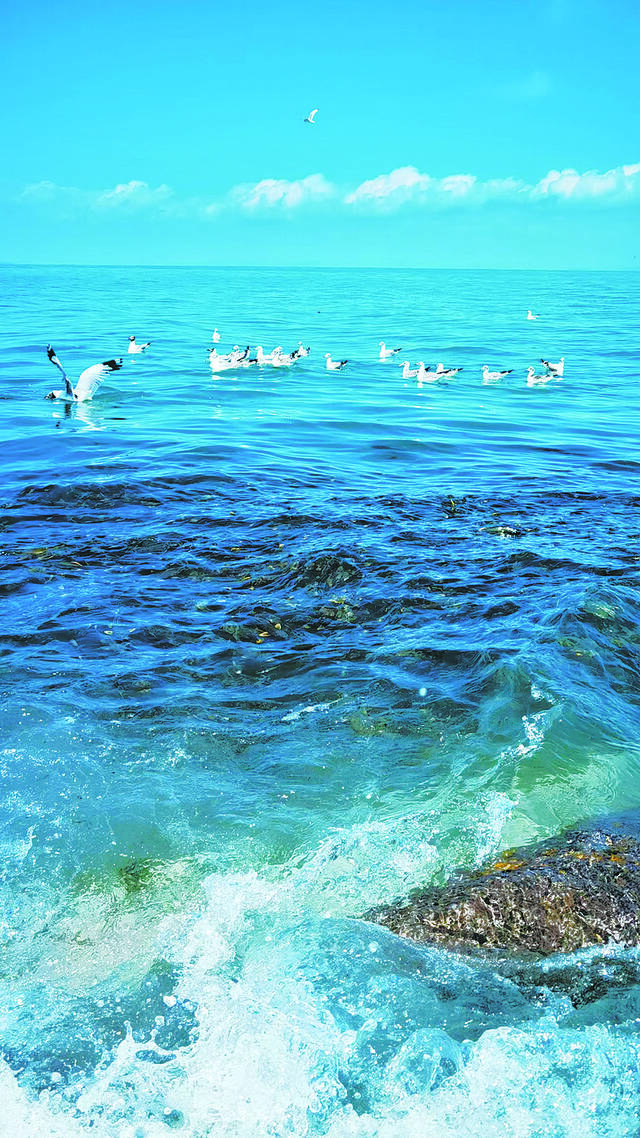 美丽的青海湖。（华旦扎西摄）