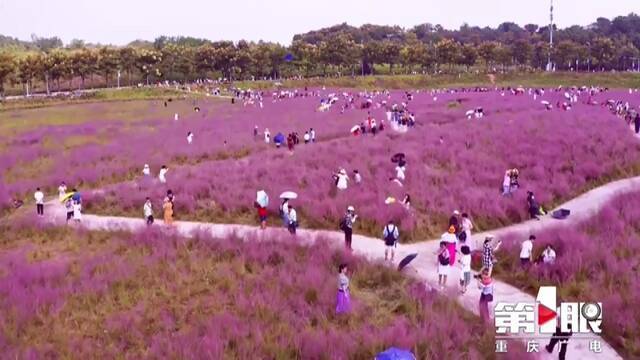 与红旗合影，为祖国点赞，巴渝大地深情祝福祖国