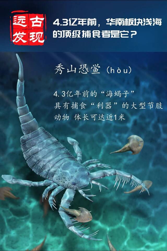 4.3亿年前的顶级捕食者，在重庆这儿被发现！