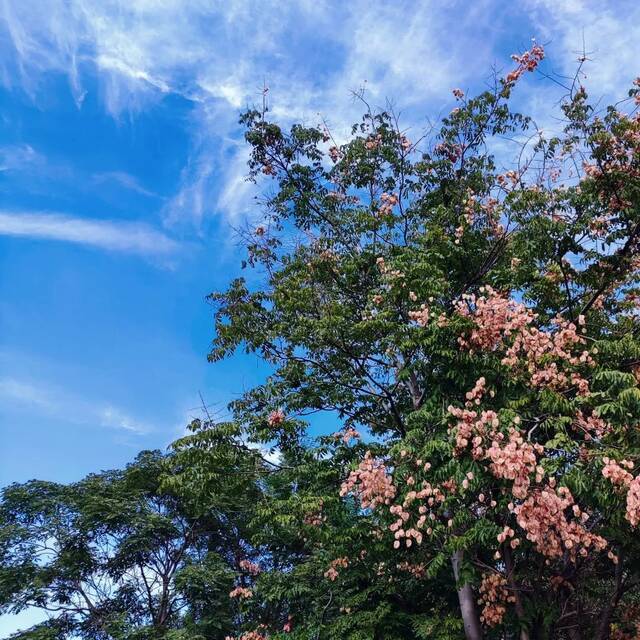 雨过天晴，一大波天理美图来袭