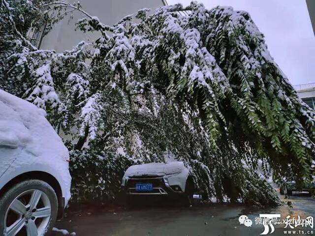 寒露连初雪 露浓秋意深