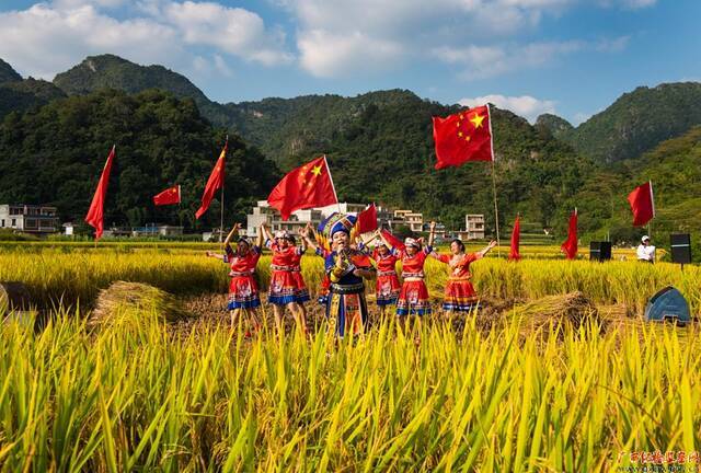 寒露时节，靖西市禄峒镇平江村的稻谷成熟了，一群身穿五彩民族服装的群众以稻田为舞台，割稻穗，唱红歌，跳民族舞蹈，欢庆秋季稻谷获得大丰收。（宾阳县王灵镇纪委曾祥忠/摄）