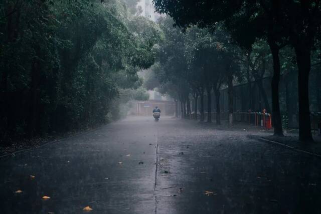 请收藏！华农的雨，是一场浪漫的邂逅