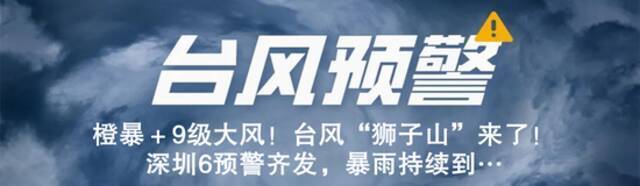 双台风共舞！29个台风预警生效！记者直击路面情况