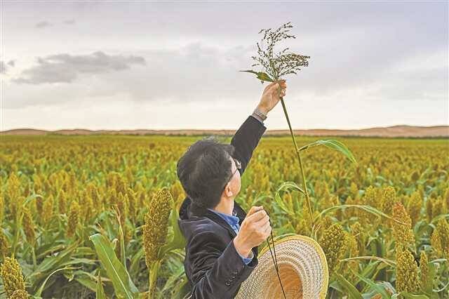 5年变出万亩绿洲——重庆交大科研团队治沙记