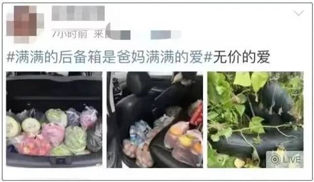 一放假就回家“进货”？有种爱叫你的后备箱太小了