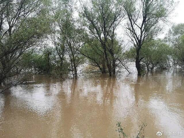 汾河山西河津段迎67年来最大洪水，当地决定！